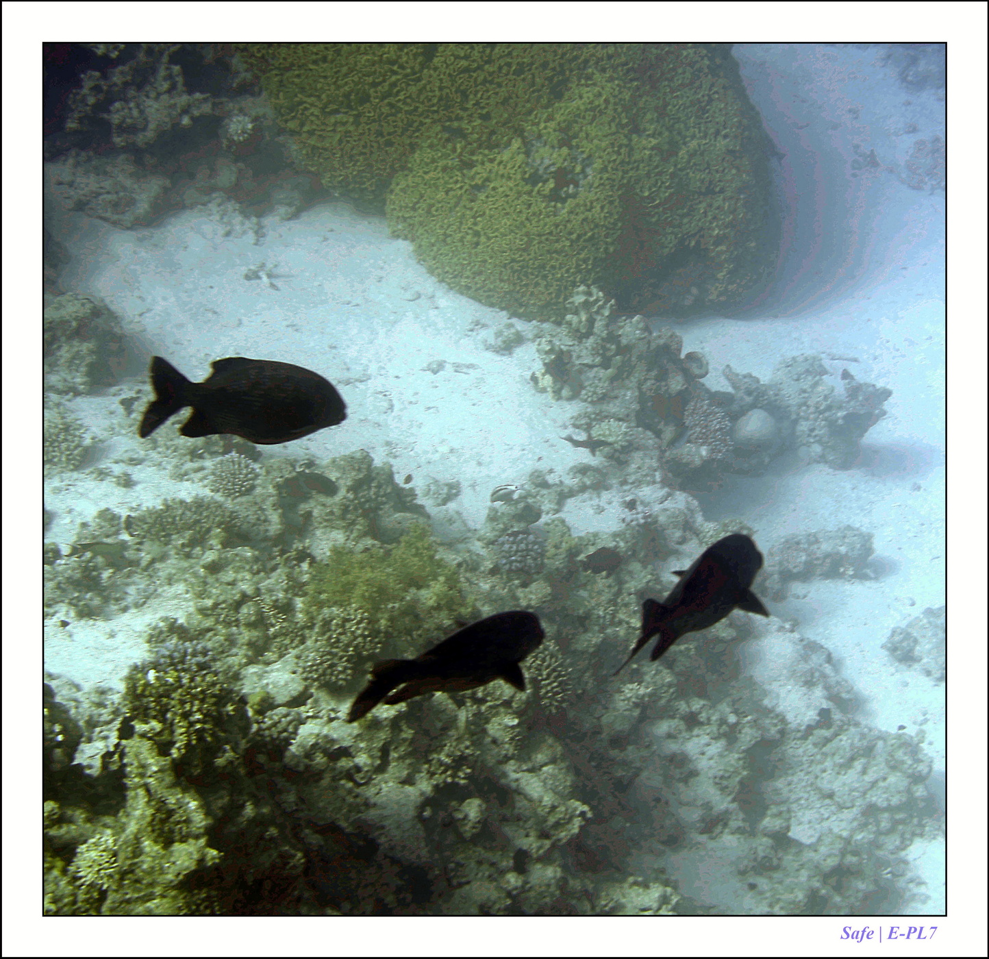 2023 - 03 - Charm El Sheikh - 07